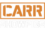 Carr Showpigs